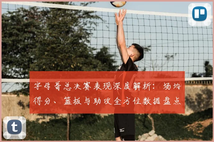 字母哥总决赛表现深度解析：场均得分、篮板与助攻全方位数据盘点