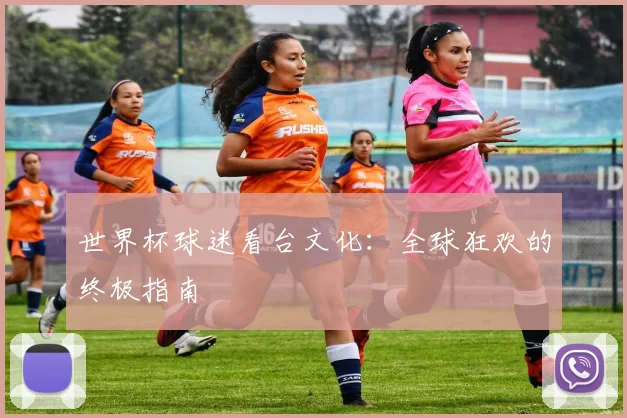 世界杯球迷看台文化：全球狂欢的终极指南